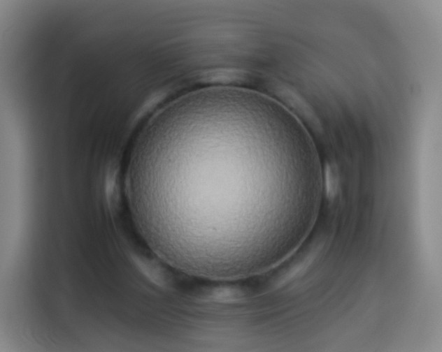 X0000113930204200910021249