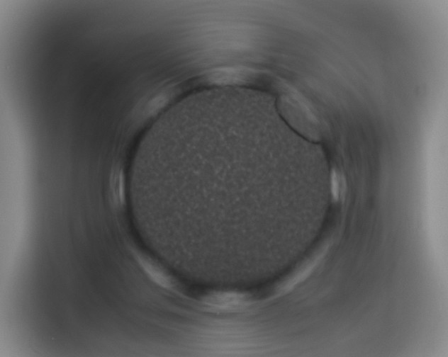 X0000113930205200910021249