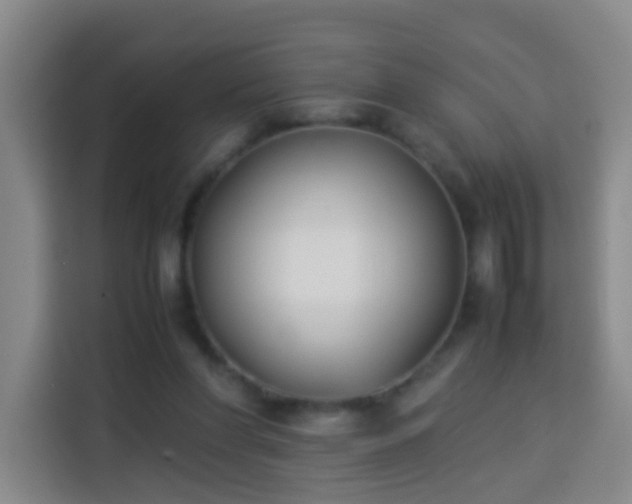 X0000113930206200910021249