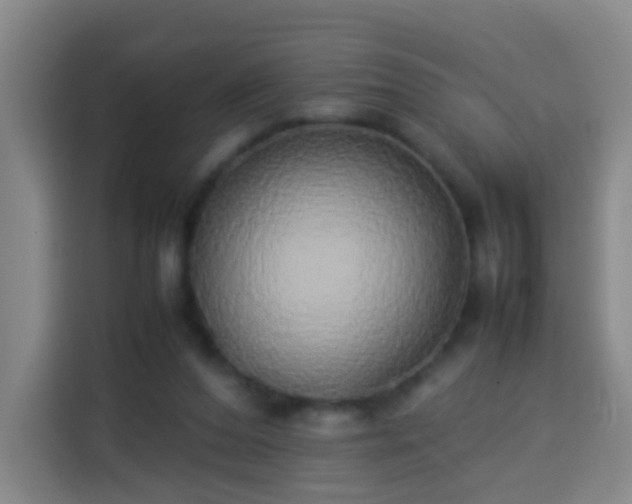 X0000113930208200910021249