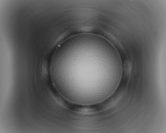 X0000113930212200910021249