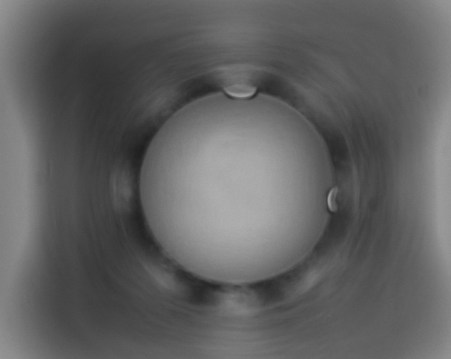 X0000113930215200910021249