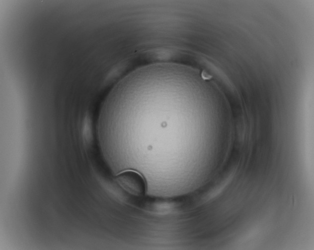 X0000113930216200910021249