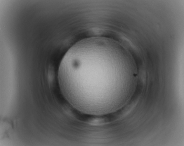 X0000113930220200910021249