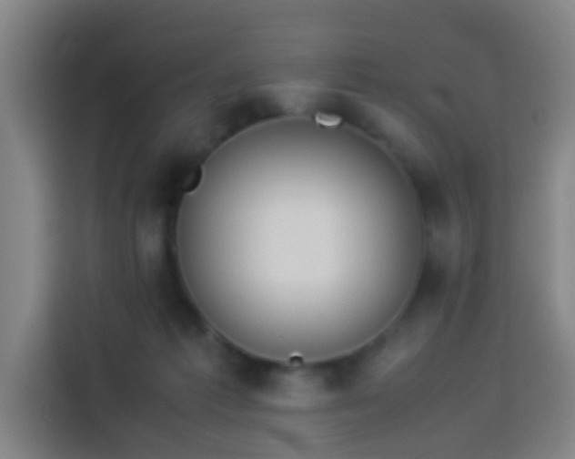 X0000113930221200910021249