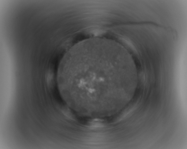 X0000113930222200910021249