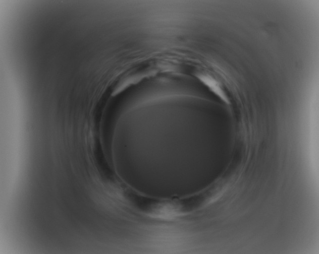 X0000113930223200910021249