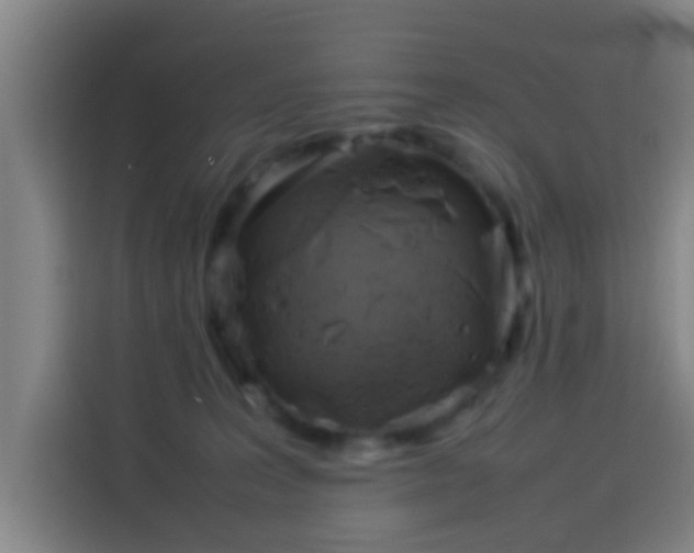 X0000113930227200910021249