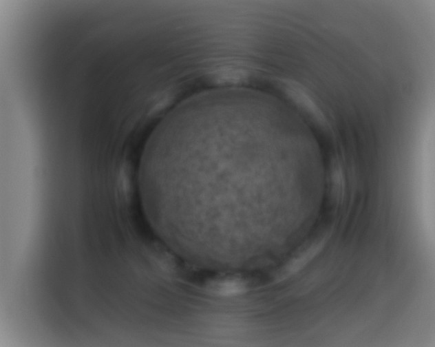 X0000113930228200910021248