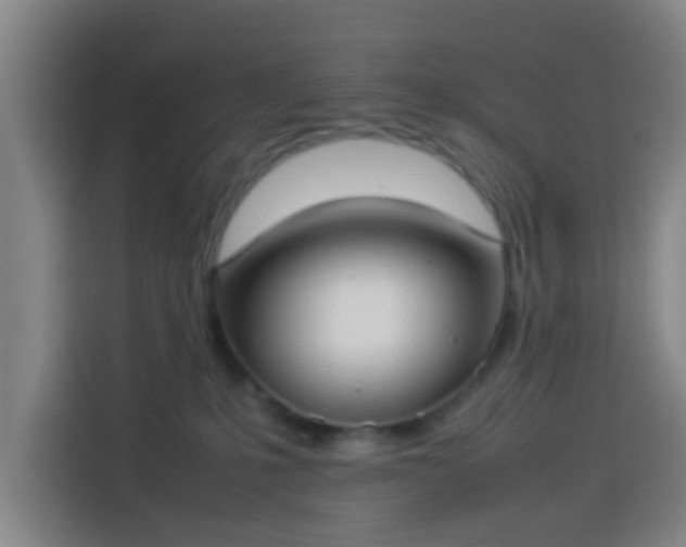 X0000113930231200910021248