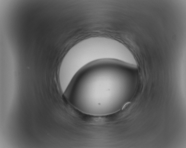 X0000113930233200910021248