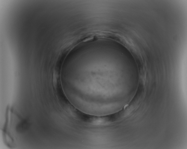 X0000113930235200910021248