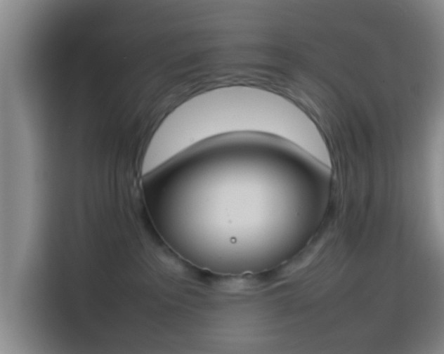 X0000113930237200910021248