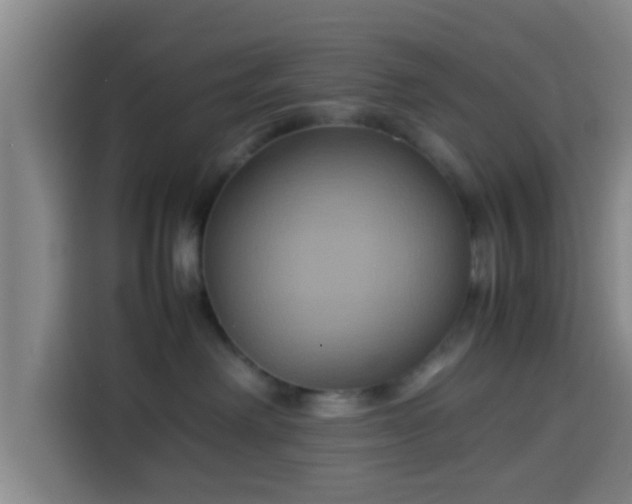 X0000113930238200910021248