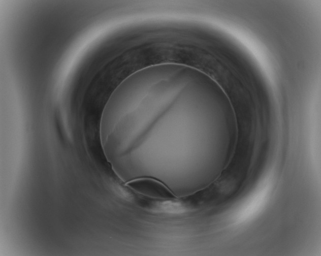 X0000113930239200910021248