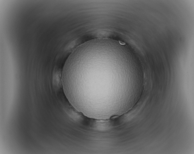 X0000113930240200910021248