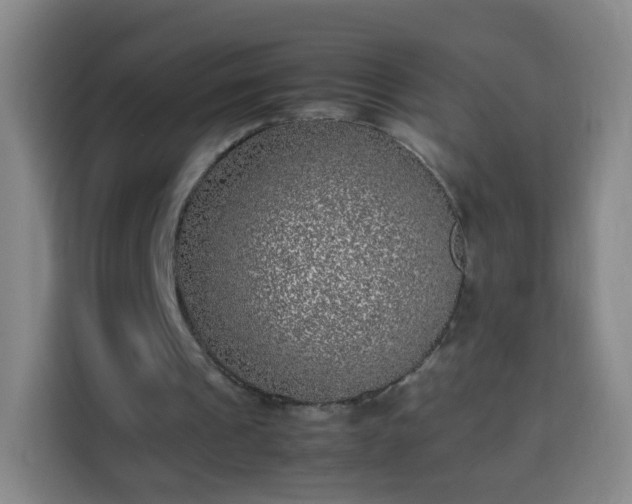 X0000113930241200910021248