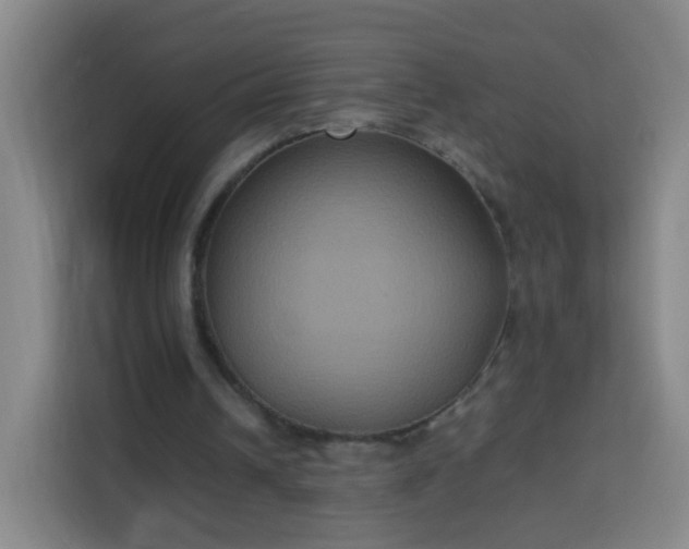 X0000113930242200910021248