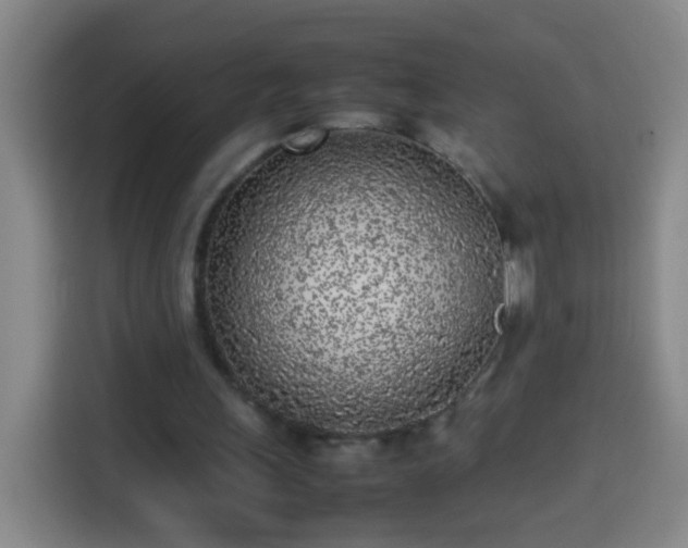 X0000113930243200910021248