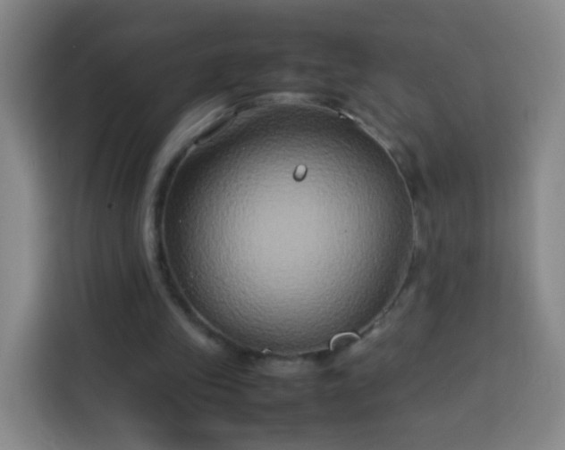 X0000113930245200910021248