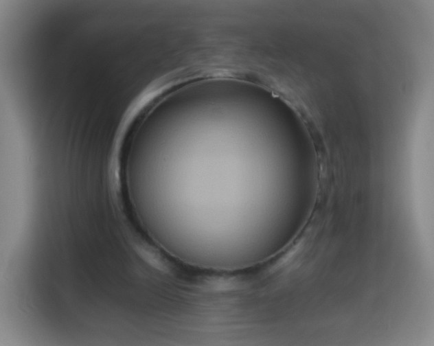 X0000113930246200910021248