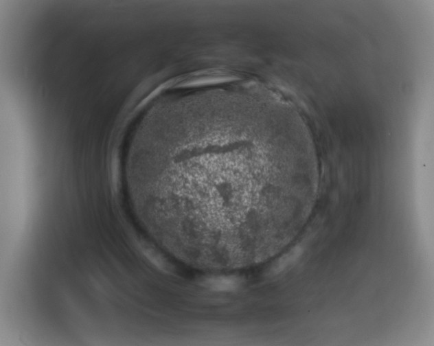 X0000113930247200910021248