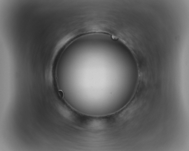 X0000113930248200910021248