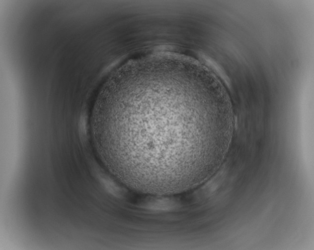 X0000113930249200910021248