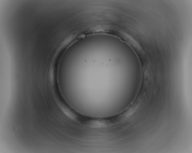 X0000113930250200910021248