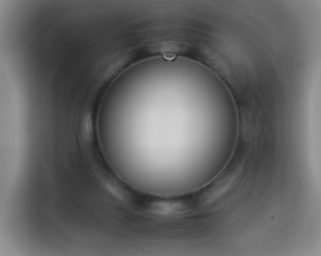 X0000113930251200910021248