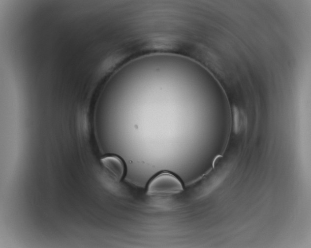 X0000113930252200910021248