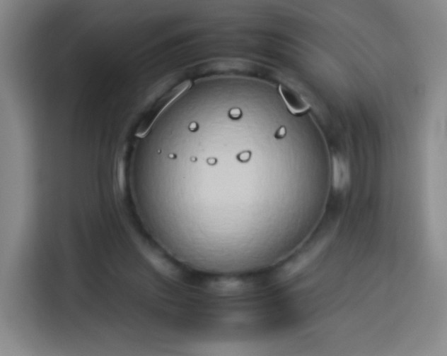 X0000113930253200910021248