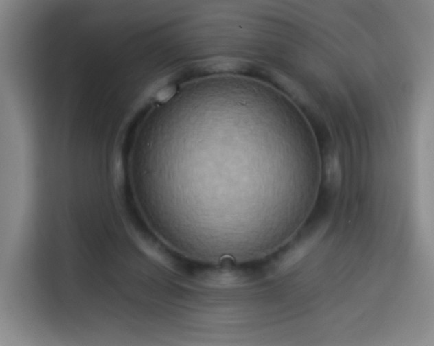 X0000113930254200910021248