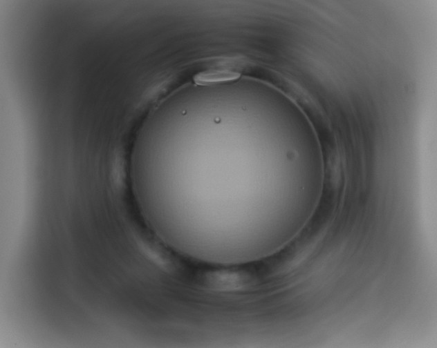 X0000113930255200910021248