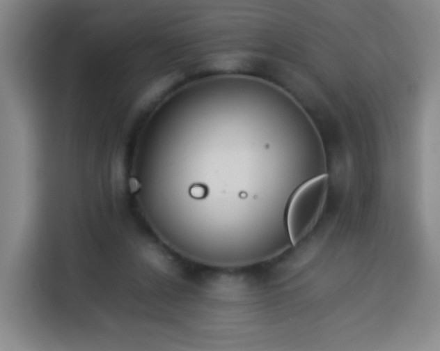 X0000113930256200910021248