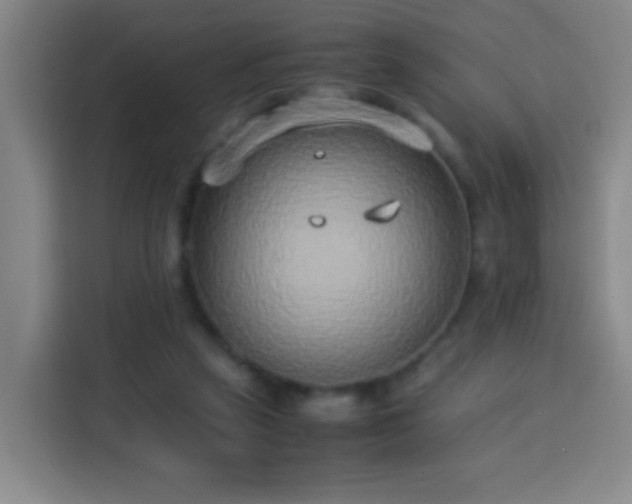 X0000113930257200910021248