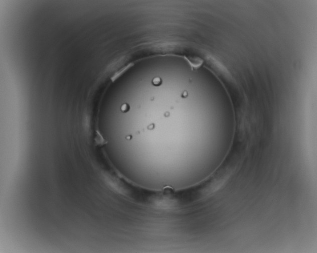 X0000113930258200910021248