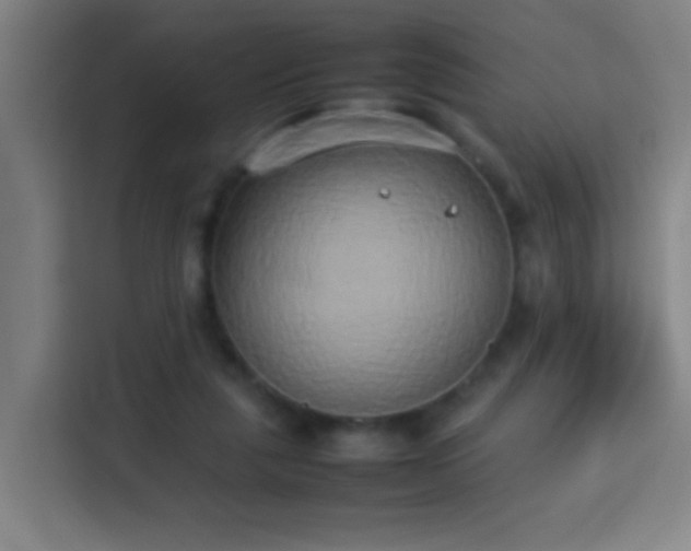 X0000113930259200910021248