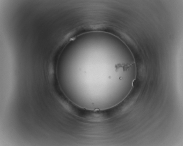 X0000113930260200910021248