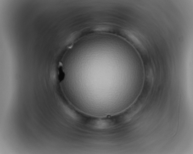 X0000113930261200910021248