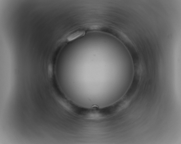 X0000113930262200910021248