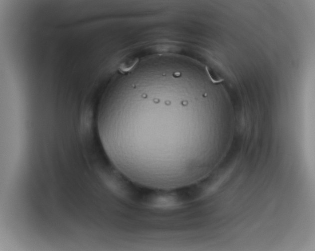 X0000113930263200910021248