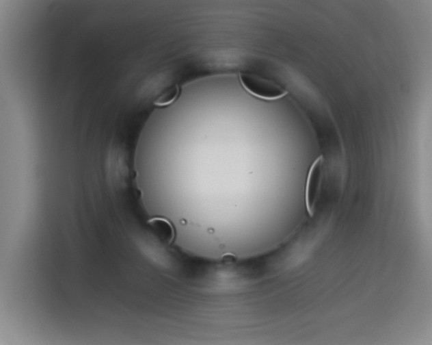 X0000113930264200910021248