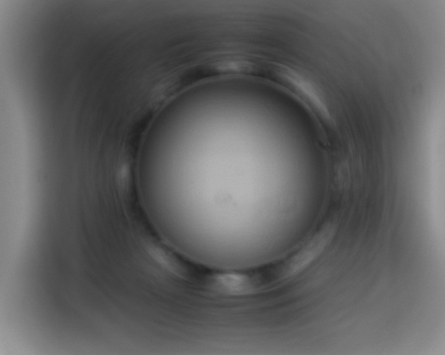 X0000113930265200910021248