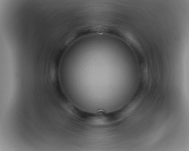 X0000113930266200910021248