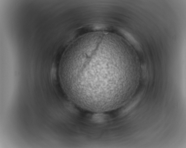 X0000113930269200910021248