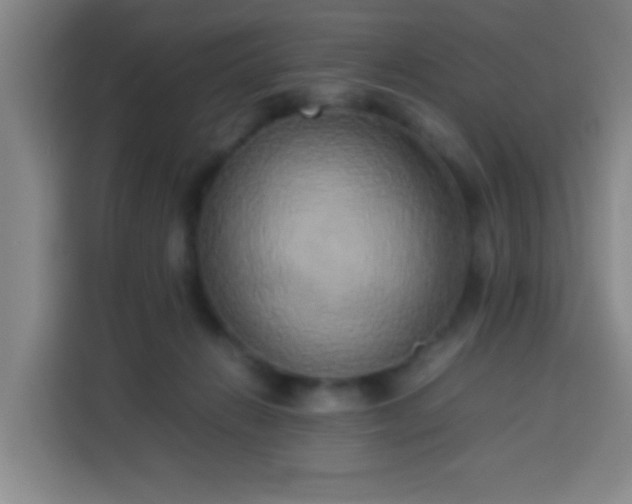 X0000113930270200910021248