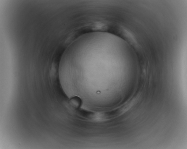 X0000113930273200910021248