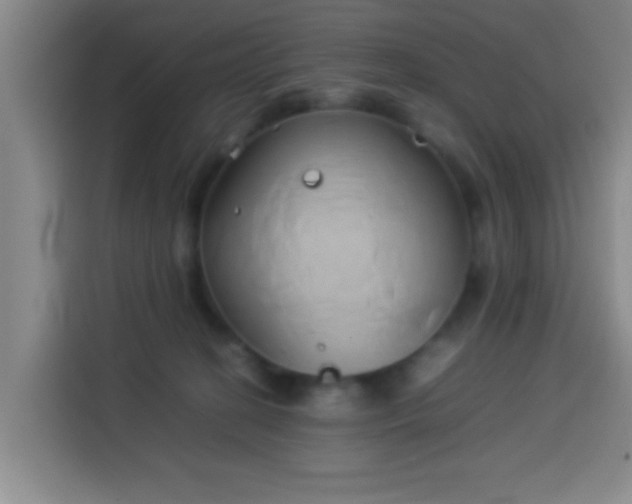 X0000113930274200910021248