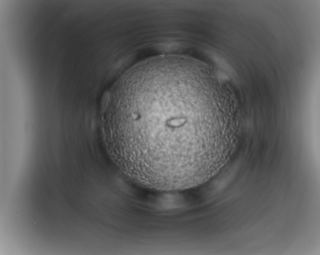 X0000113930277200910021248